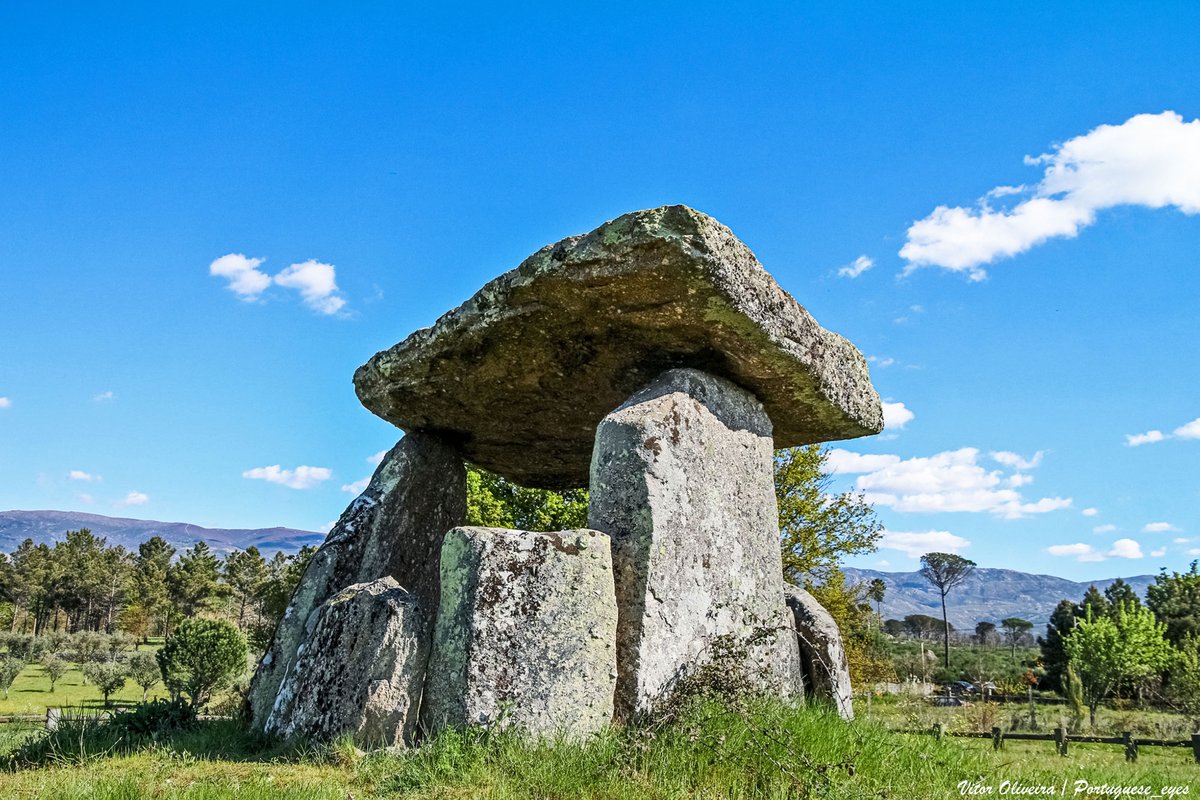 Anta da Orca - Rio Torto - Portugal (52062545429).jpg