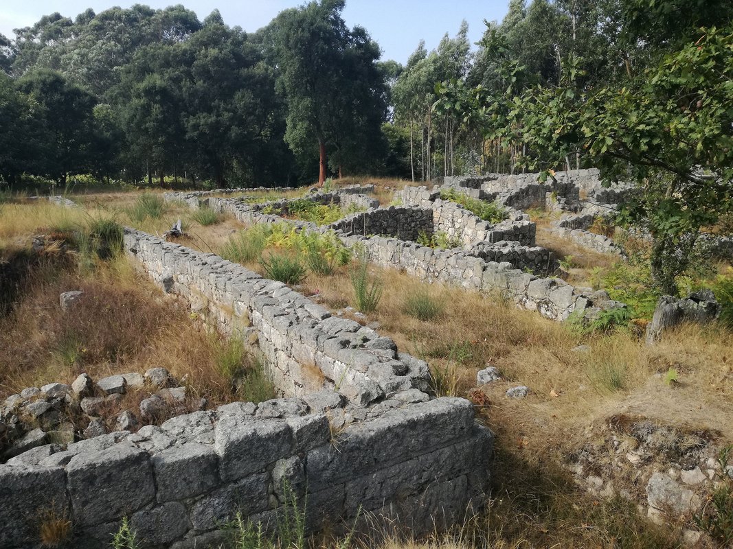 Castro de Alvarelhos conjunto casas.jpg