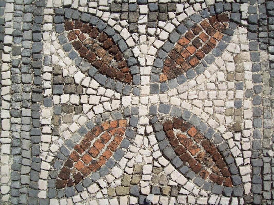 Flor de ruínas romanas em Torres Novas.jpg