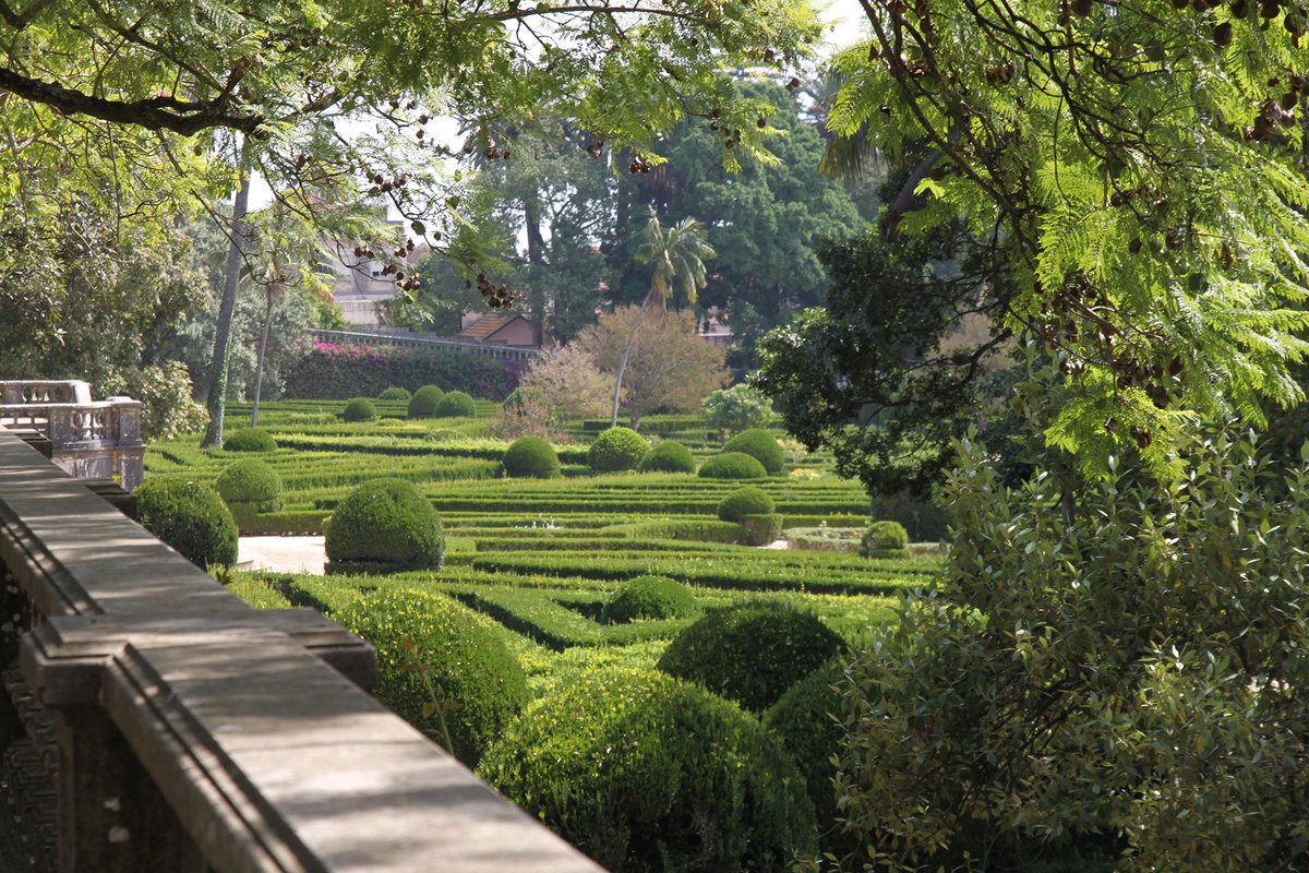 Jardim Botânico da Ajuda 7361.jpg
