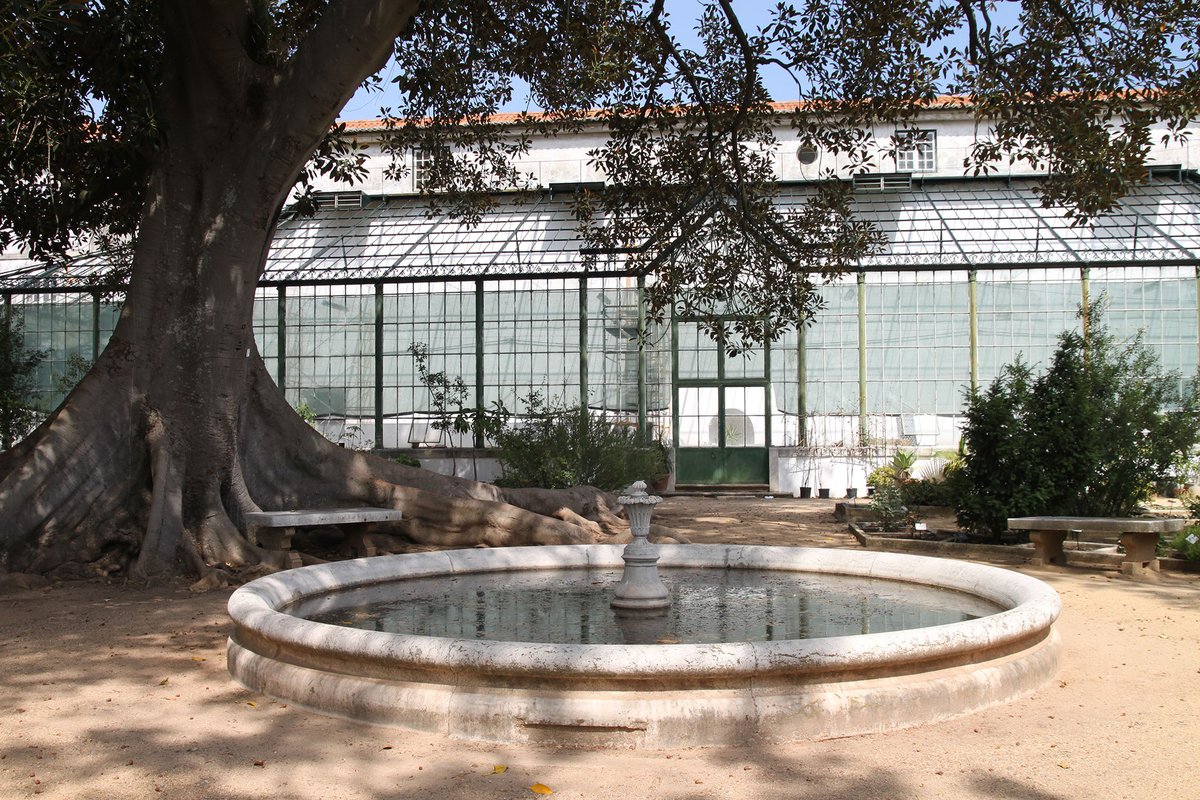 Jardim Botânico da Ajuda (lago superior nascente) 7379.jpg