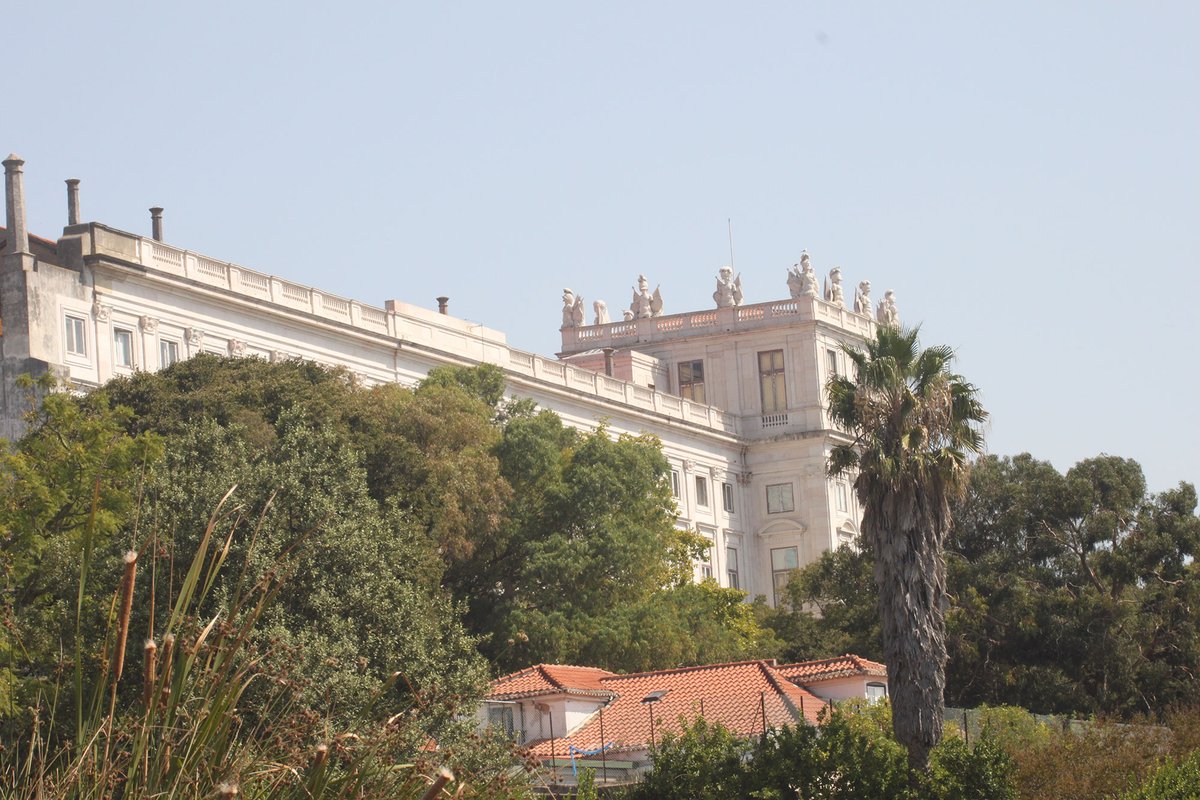 Jardim Botânico da Ajuda (vista do Palácio da Ajuda) 7340.jpg