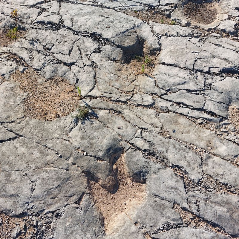 Jazidas com pegadas de dinossáurios terópodes sitas em Vale de Meios e Algar dos Potes 23.jpg