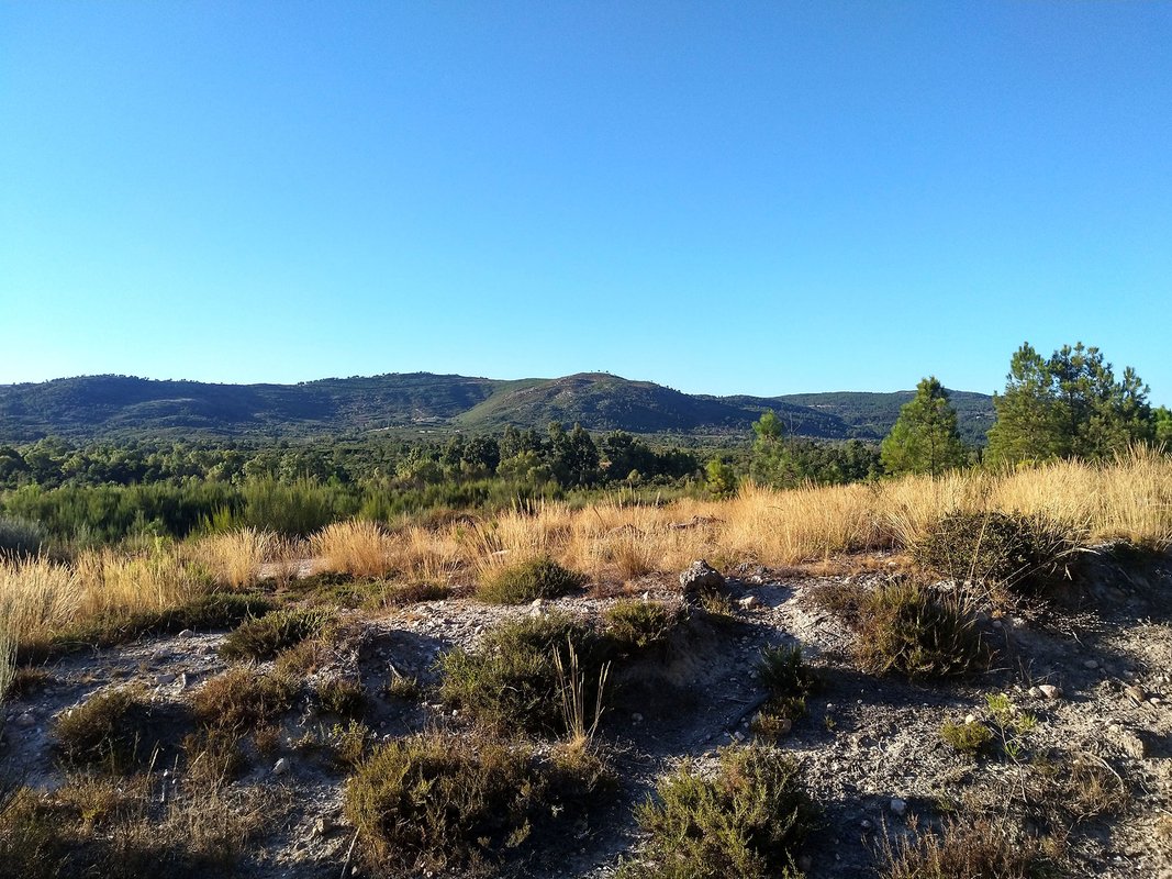 Paisagem ao redor da Estação rupestre de Outeiro Machado.jpg