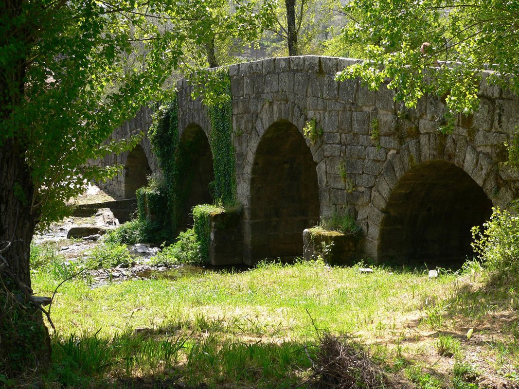 Ponte Romano-Medieval Portagem.jpg