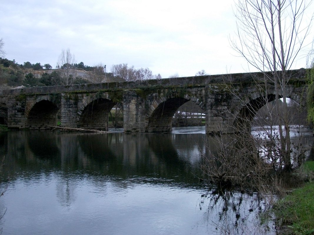 Ponte Torre Dona Chama Vista montante margem direita base.jpg