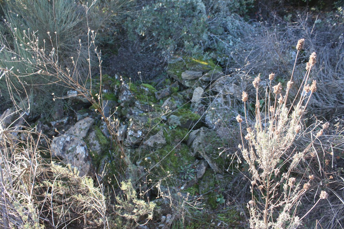 Terronha de Pinhovelo - 07.jpg