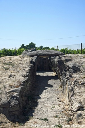 Anta do Pinheiro dos Abraços - Bobadela - Portugal (9010554678).jpg