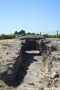 Anta do Pinheiro dos Abraços - Bobadela - Portugal (9010554678).jpg