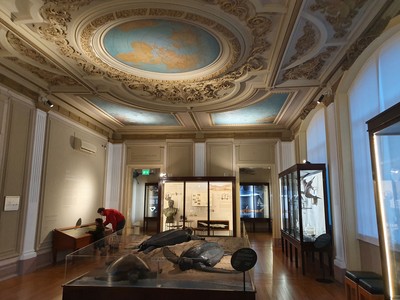 Aquário Vasco da Gama - Salão Nobre.jpg