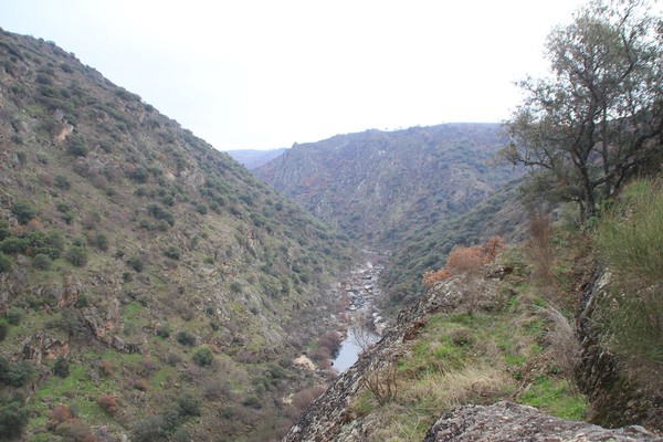 Arribas Rio Agueda (Broeira).jpg