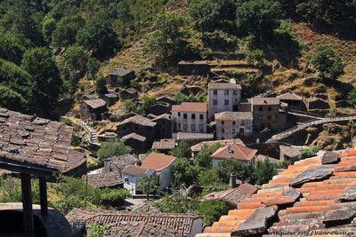 Candal - Portugal (28027435424).jpg