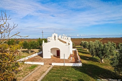Capela de Nossa Senhora dos Remédios - Herdade do Esporão - Portugal (52588062779).jpg