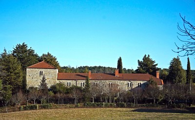 Castelo ou Torre de Ferreira de Aves - Portugal (12174268024).jpg