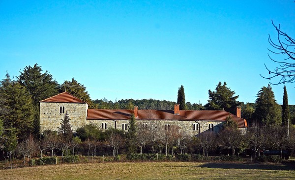Castelo ou Torre de Ferreira de Aves - Portugal (12174268024).jpg