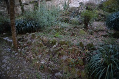 Castro da Senhora da Saúde 03.jpg