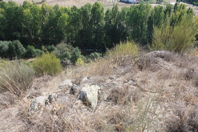 Castro de Gimonde 12.jpg