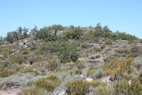 Castro de Lama de Ouriço 02.jpg