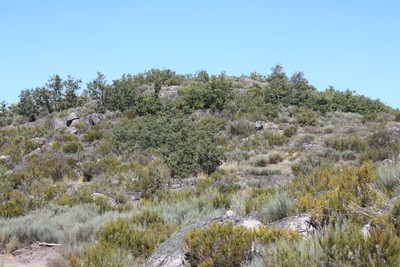 Castro de Lama de Ouriço 02.jpg