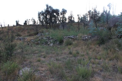 Castro de São Miguel-o-Anjo.jpg