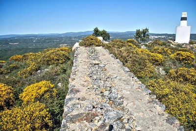 Castro de São Miguel - Amêndoa - Portugal (52901520567).jpg