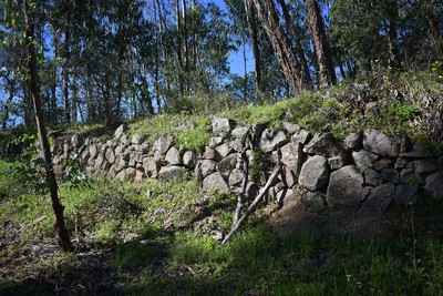 Cerro do Castelo da Nave 4, Monchique, Algarve, Portugal - 20.02.2024.jpg