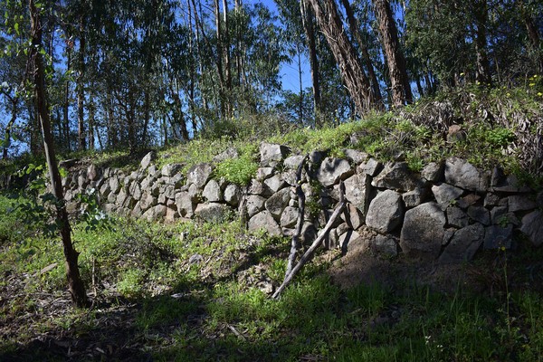 Cerro do Castelo da Nave 4, Monchique, Algarve, Portugal - 20.02.2024.jpg