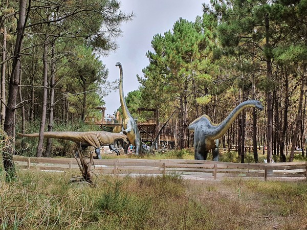 Dino Parque 08.jpg