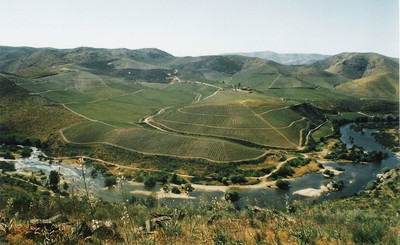 Ervamoira (2980224010).jpg