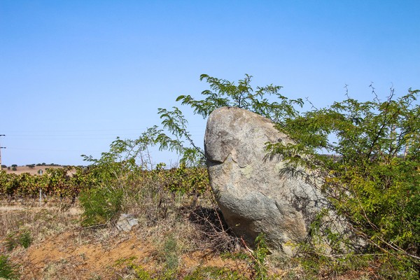 Menir de Santa Margarida - Portugal (52849324324).jpg