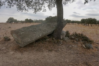 Nossa Senhora da Graça do Divor - Menires da Herdade da Casbarra - 20200916111910.jpg