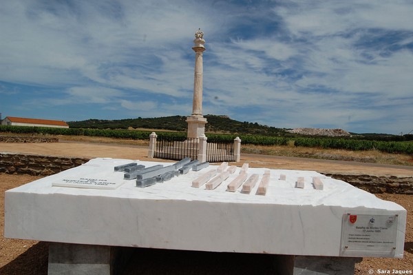 Padrão da Batalha de Montes Claros.jpg