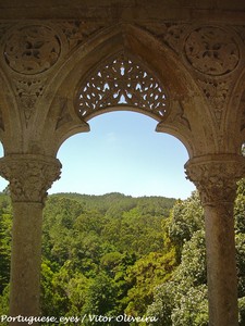 Palácio de Monserrate - Sintra - Portugal (12039385085).jpg