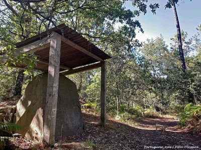 Pedra Escrita de Serrazes - Portugal (50749742423).jpg