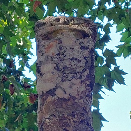 Pelourinho de Serpins - Foto 09.jpg