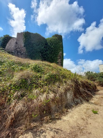 Perspetiva do resto da muralha do antigo Castelo de Atouguia da Baleia vista do lado este.jpg