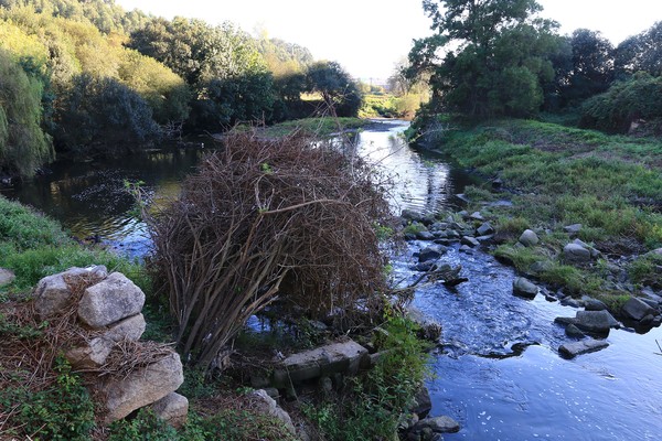Ponte Guifões 2.jpg