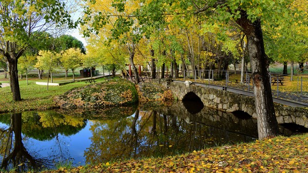 Ribeira da Venda Ponte Romana.jpg