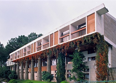 Tainha santa barbara 2.jpg