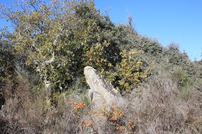 Terronha de Pinhovelo - 10.jpg