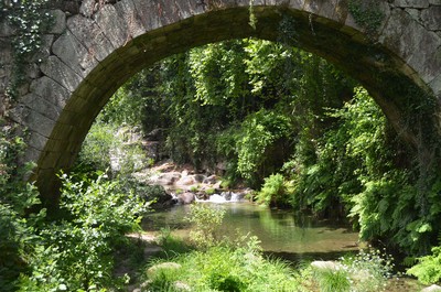 Ponte sobre o Moimenta