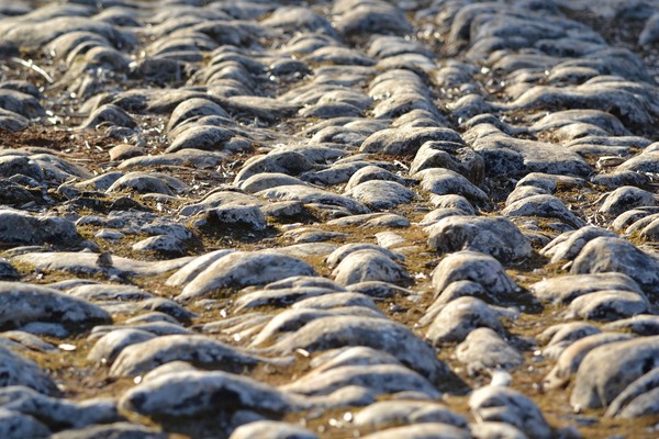 Via Romana em Alqueidão da Serra 6.jpg