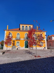 Vista aproximada da Casa Taibner de Morais Santos Barosa, também denominada «Palácio dos Barosa».jpg