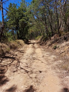 Vista para norte no Caminho Real.jpg